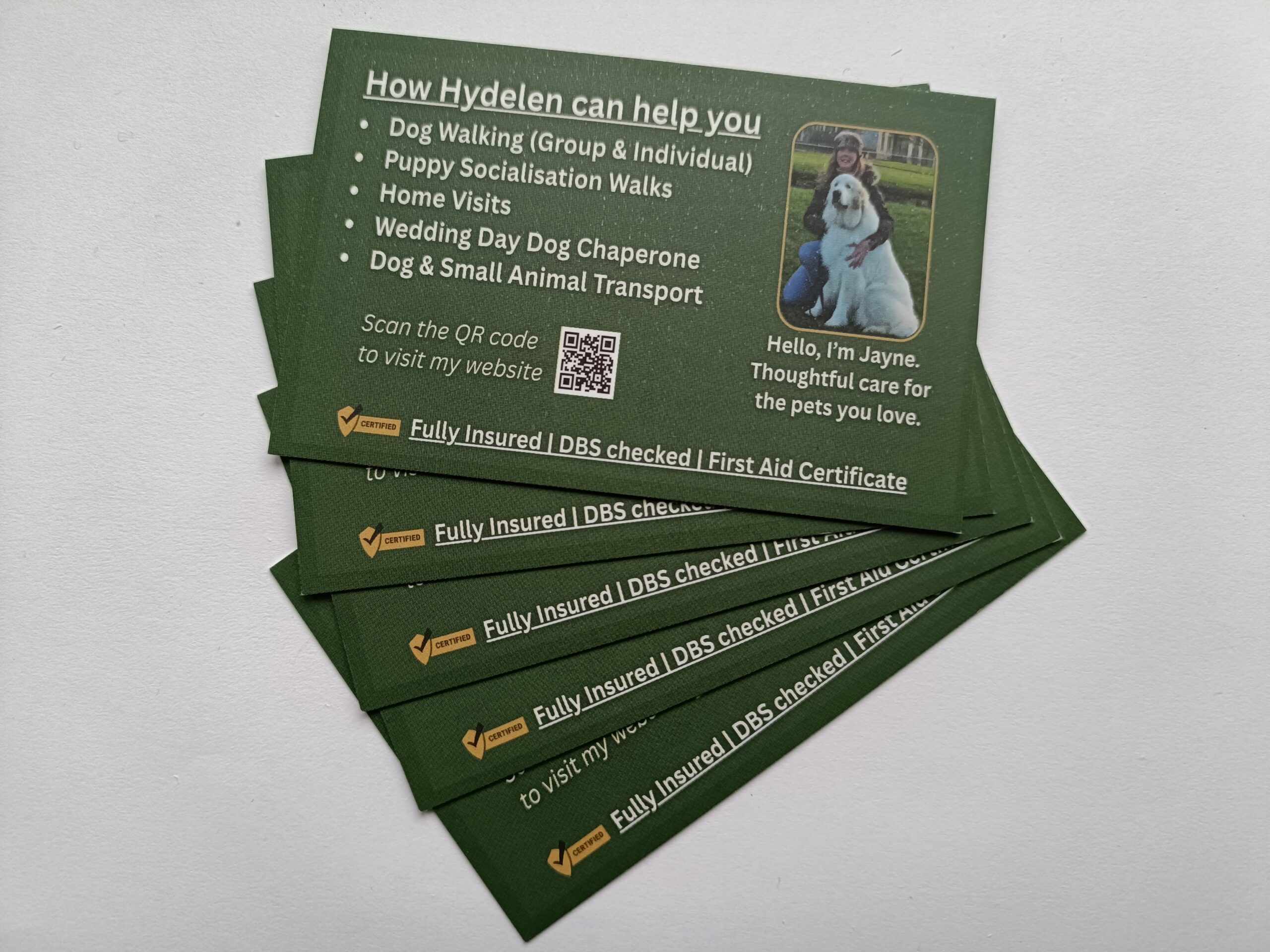 Hydelen Business Card Front