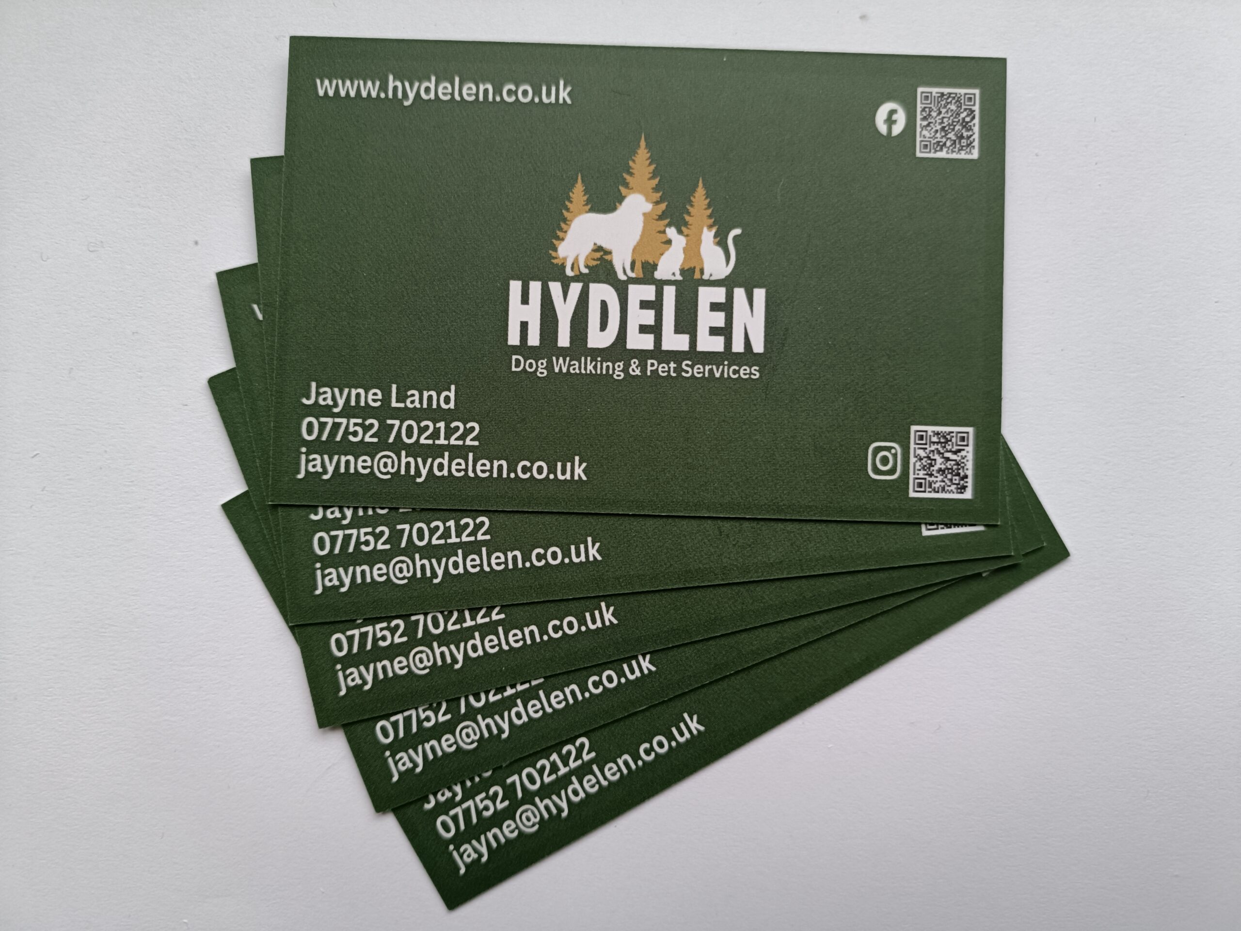 Hydelen Business Card Back
