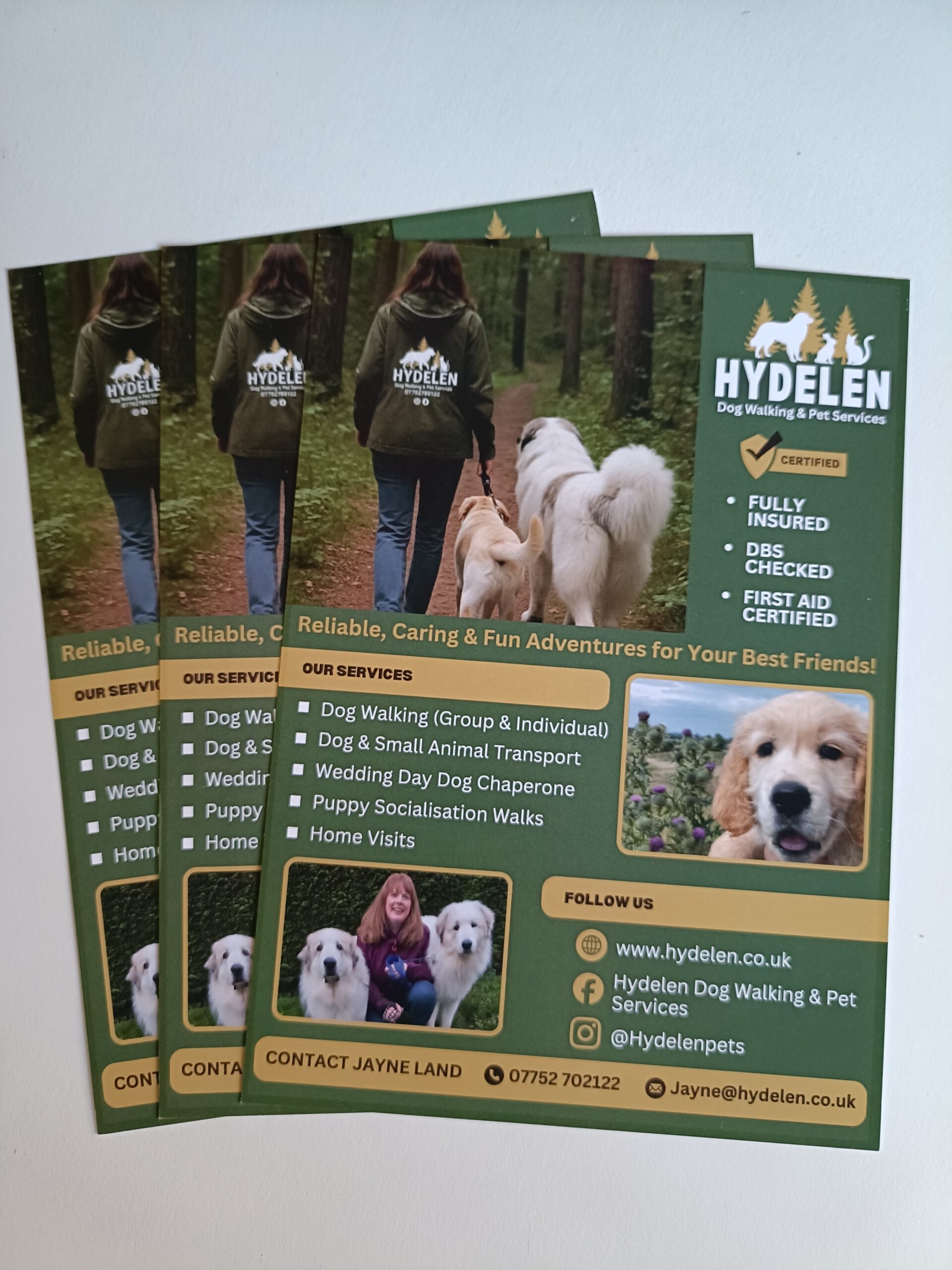Hydelen Flyer